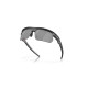 Lunettes de soleil OAKLEY BiSphaera verres Prizm Black